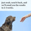 Wisdom Health Essential Dog DNA Kit