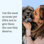 Wisdom Health Essential Dog DNA Kit