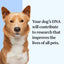 Wisdom Health Essential Dog DNA Kit