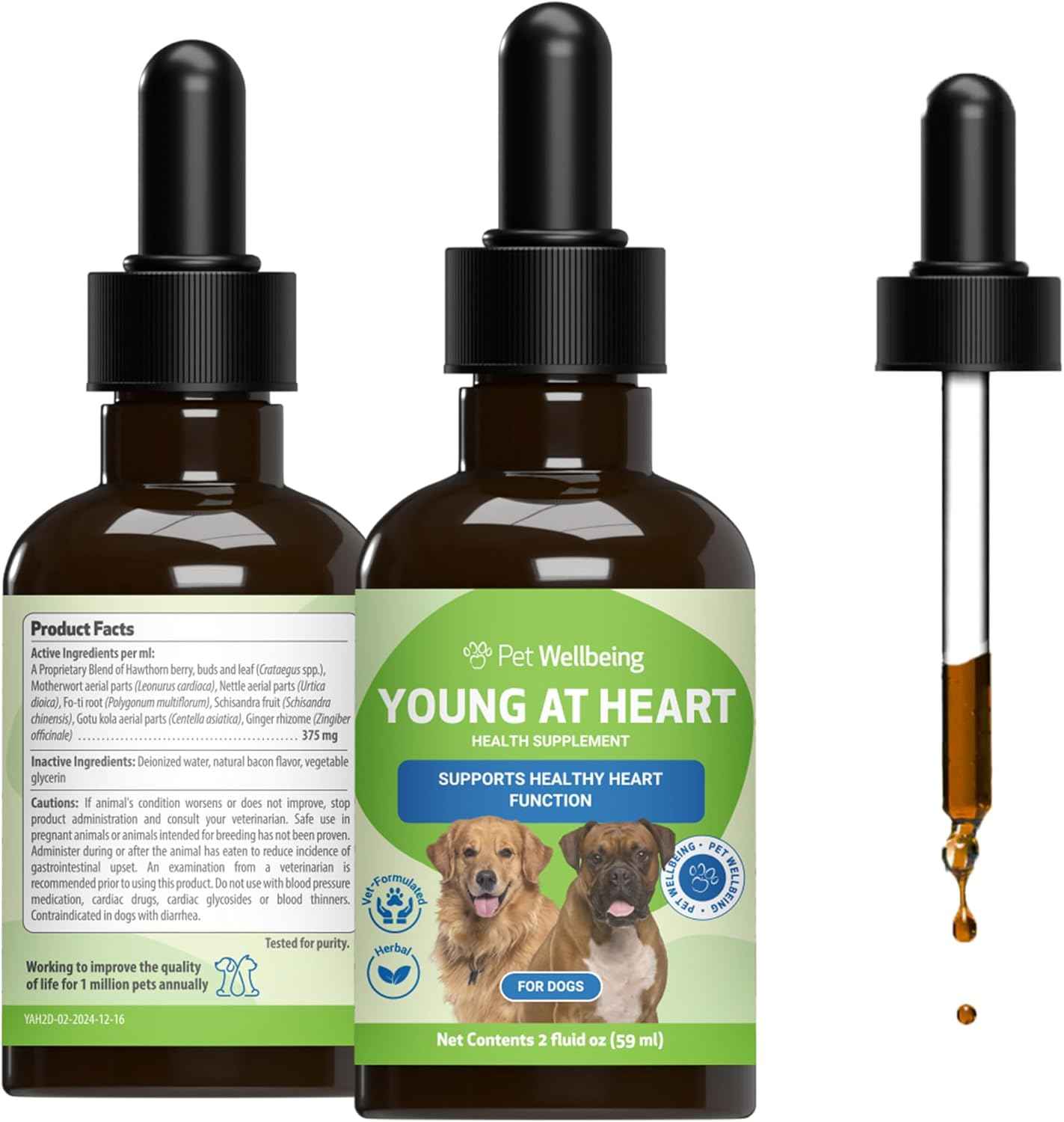 Young at Heart for Dogs with Heart Disease and Murmurs - Drake Dog Cancer Foundation