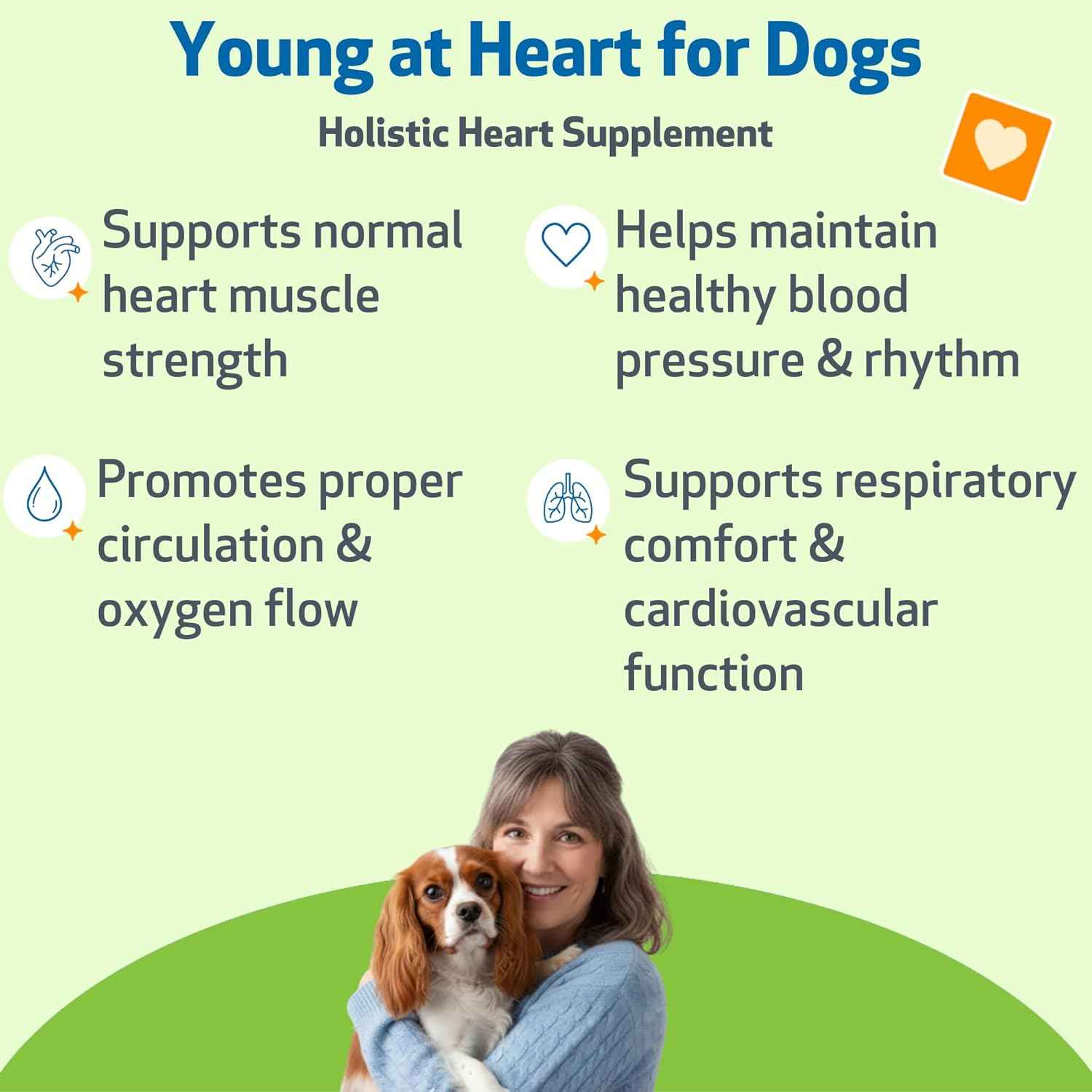 Young at Heart for Dogs with Heart Disease and Murmurs - Drake Dog Cancer Foundation