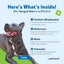 Young at Heart for Dogs with Heart Disease and Murmurs - Drake Dog Cancer Foundation