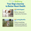 Young at Heart for Dogs with Heart Disease and Murmurs - Drake Dog Cancer Foundation