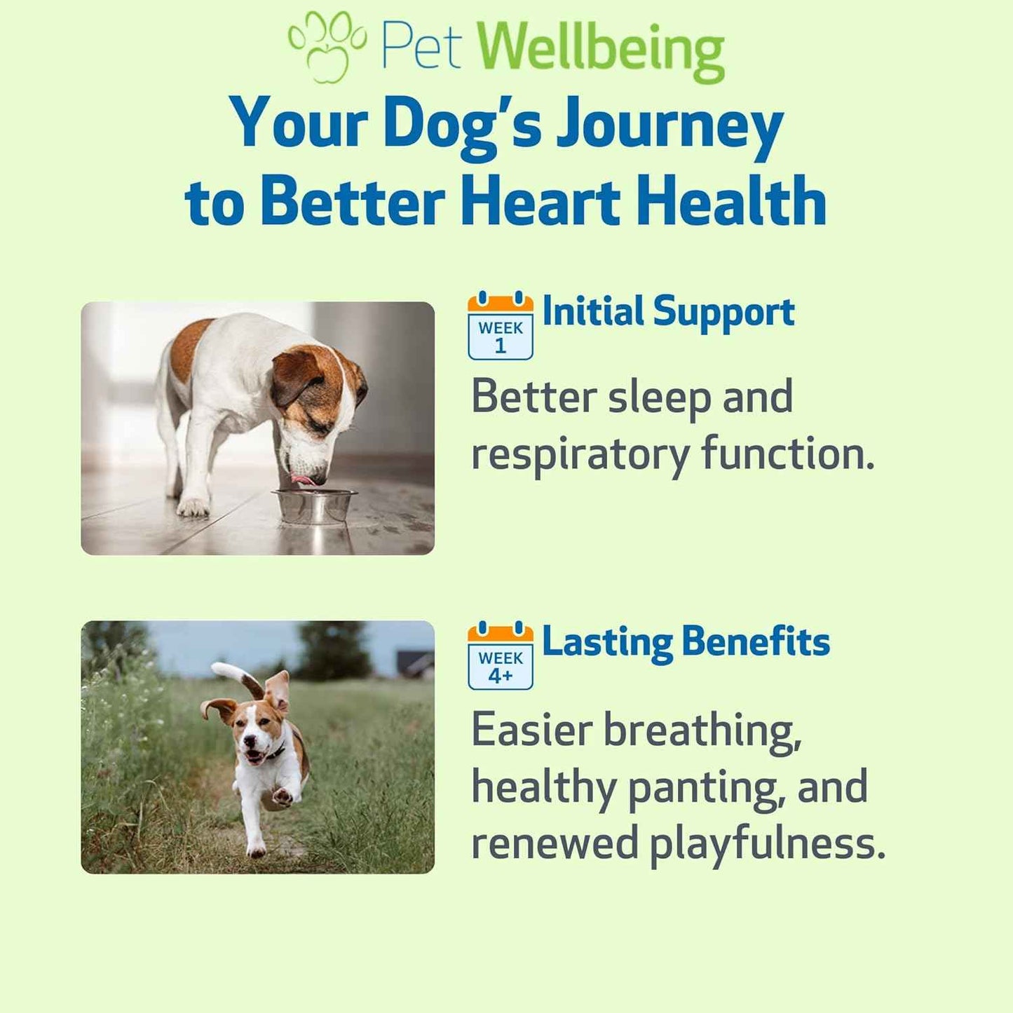 Young at Heart for Dogs with Heart Disease and Murmurs - Drake Dog Cancer Foundation