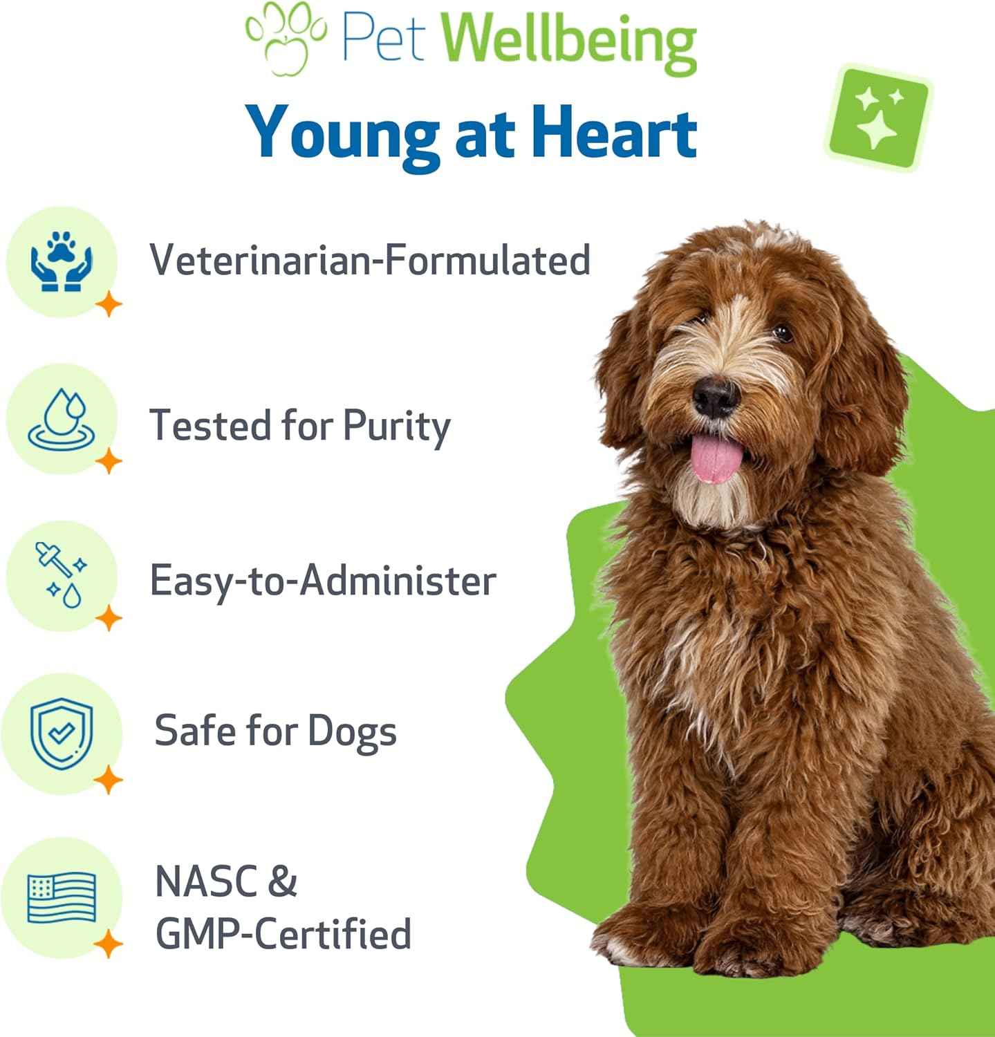 Young at Heart for Dogs with Heart Disease and Murmurs - Drake Dog Cancer Foundation