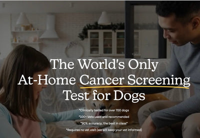 Oncotect At-Home Cancer Test