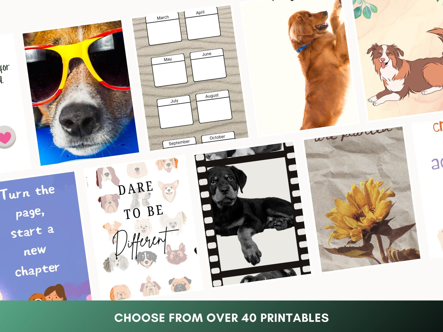 Customizable Dog Bookmarks: 40+ Printable Designs (Canva Editable) - Drake Dog Cancer Foundation