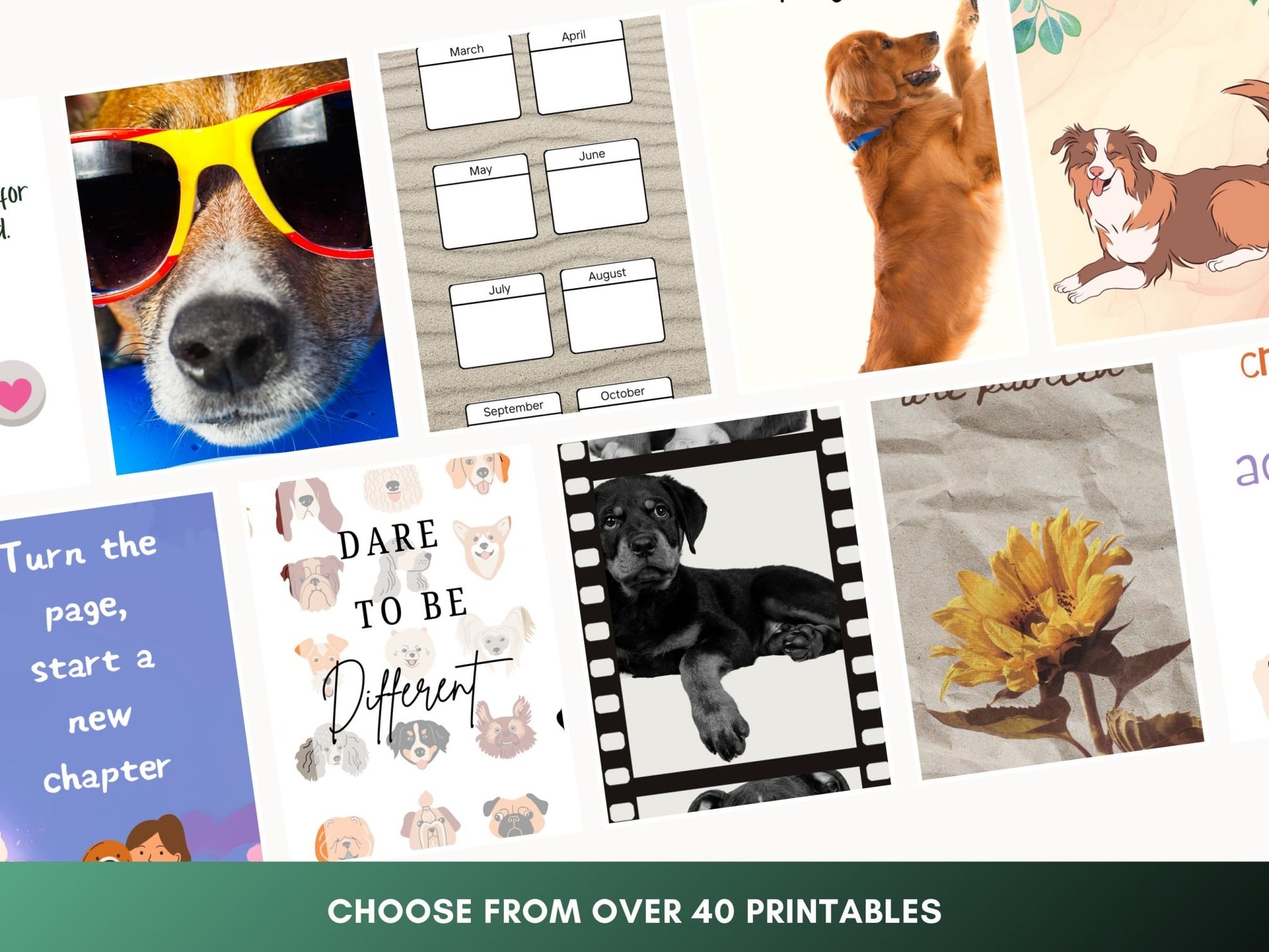 Customizable Dog Bookmarks: 40+ Printable Designs (Canva Editable) - Drake Dog Cancer Foundation