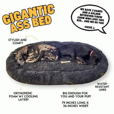 Gigantic Ass Bed from Big Ass Dog Co - Drake Dog Cancer Foundation
