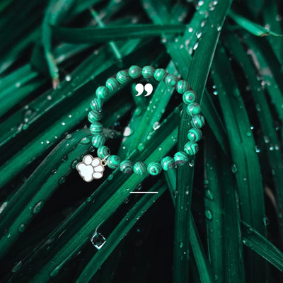 Malachite Paw Charm Bracelet: Dog Cancer Awareness & Healing Stone Jewelry for Pet Lovers - Drake Dog Cancer Foundation