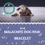 Malachite Paw Charm Bracelet: Dog Cancer Awareness & Healing Stone Jewelry for Pet Lovers - Drake Dog Cancer Foundation