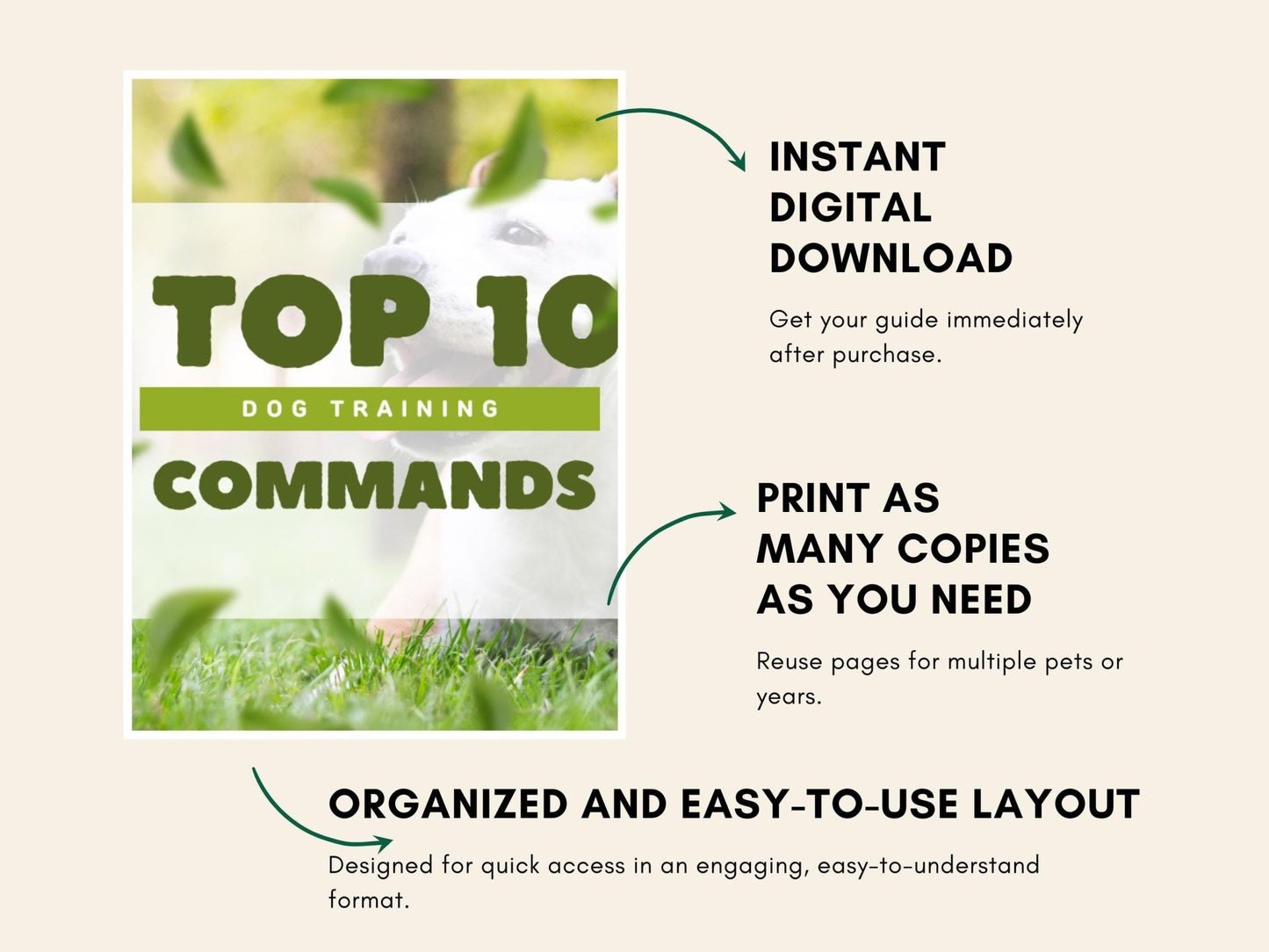 Comprehensive Step - by - Step Dog Training Guide: 10 Essential Commands PDF for Obedient Canines - Drake Dog Cancer Foundation