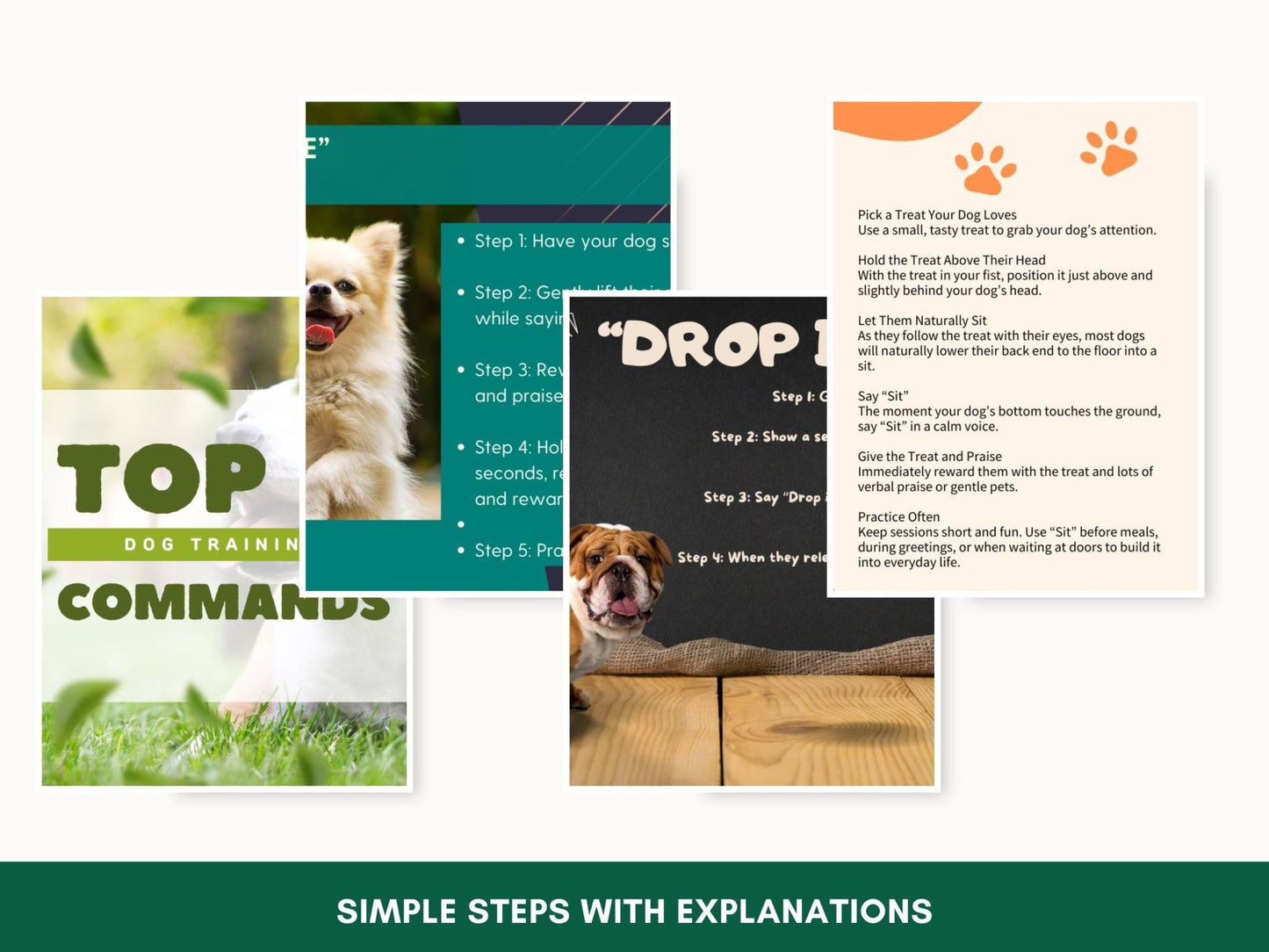 Comprehensive Step - by - Step Dog Training Guide: 10 Essential Commands PDF for Obedient Canines - Drake Dog Cancer Foundation