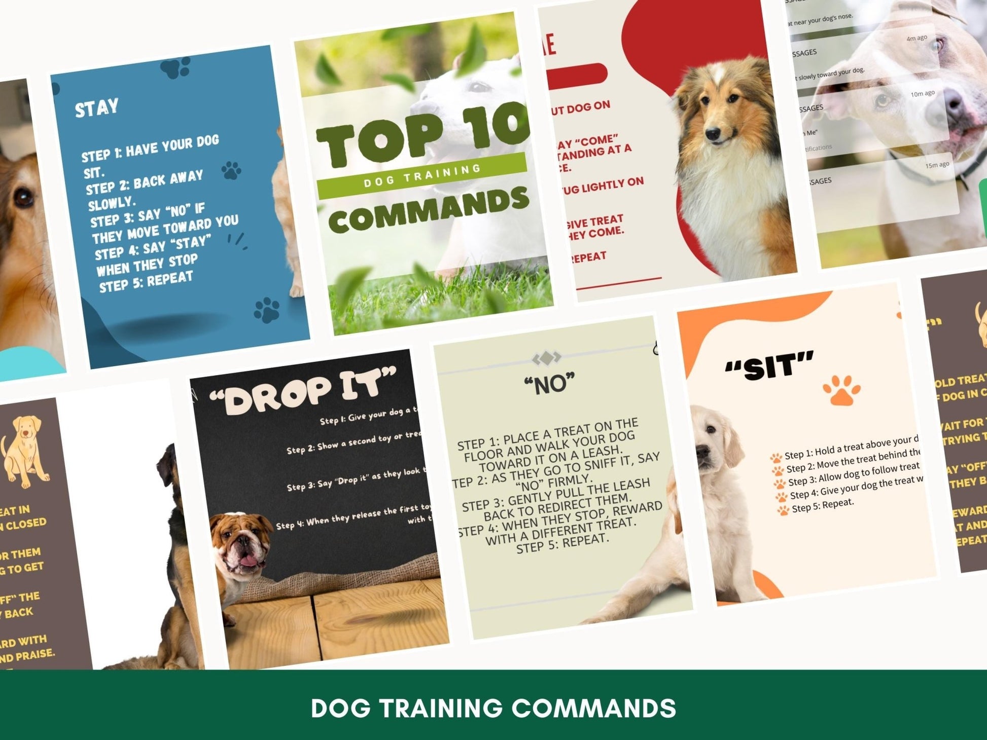 Comprehensive Step - by - Step Dog Training Guide: 10 Essential Commands PDF for Obedient Canines - Drake Dog Cancer Foundation