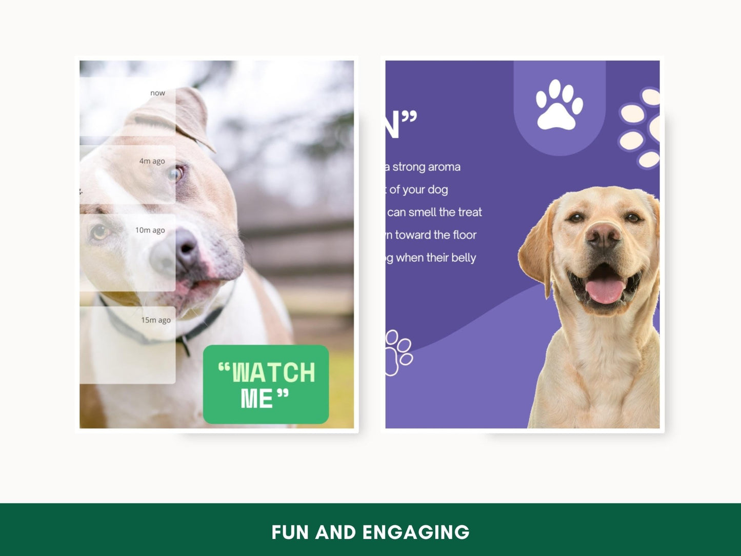 Comprehensive Step - by - Step Dog Training Guide: 10 Essential Commands PDF for Obedient Canines - Drake Dog Cancer Foundation