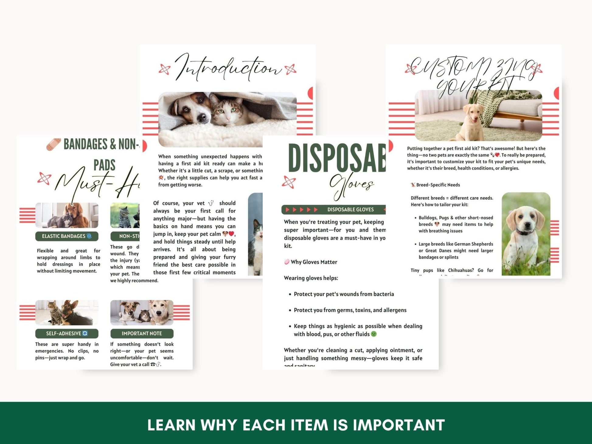 DIY Pet First Aid Kit Guide: Customizable Emergency Essentials for Dogs & Cats on the Go - Drake Dog Cancer Foundation