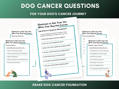 Dog Cancer Care Planner: Printable Vet Visit Worksheet with Questions for Pet Wellness Support - Drake Dog Cancer Foundation
