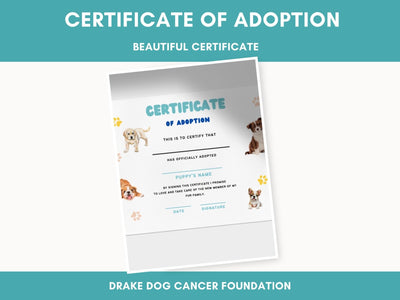 Personalized Dog Adoption Certificate: Printable PDF for New Pet Owners & Rescue Organizations - Drake Dog Cancer Foundation
