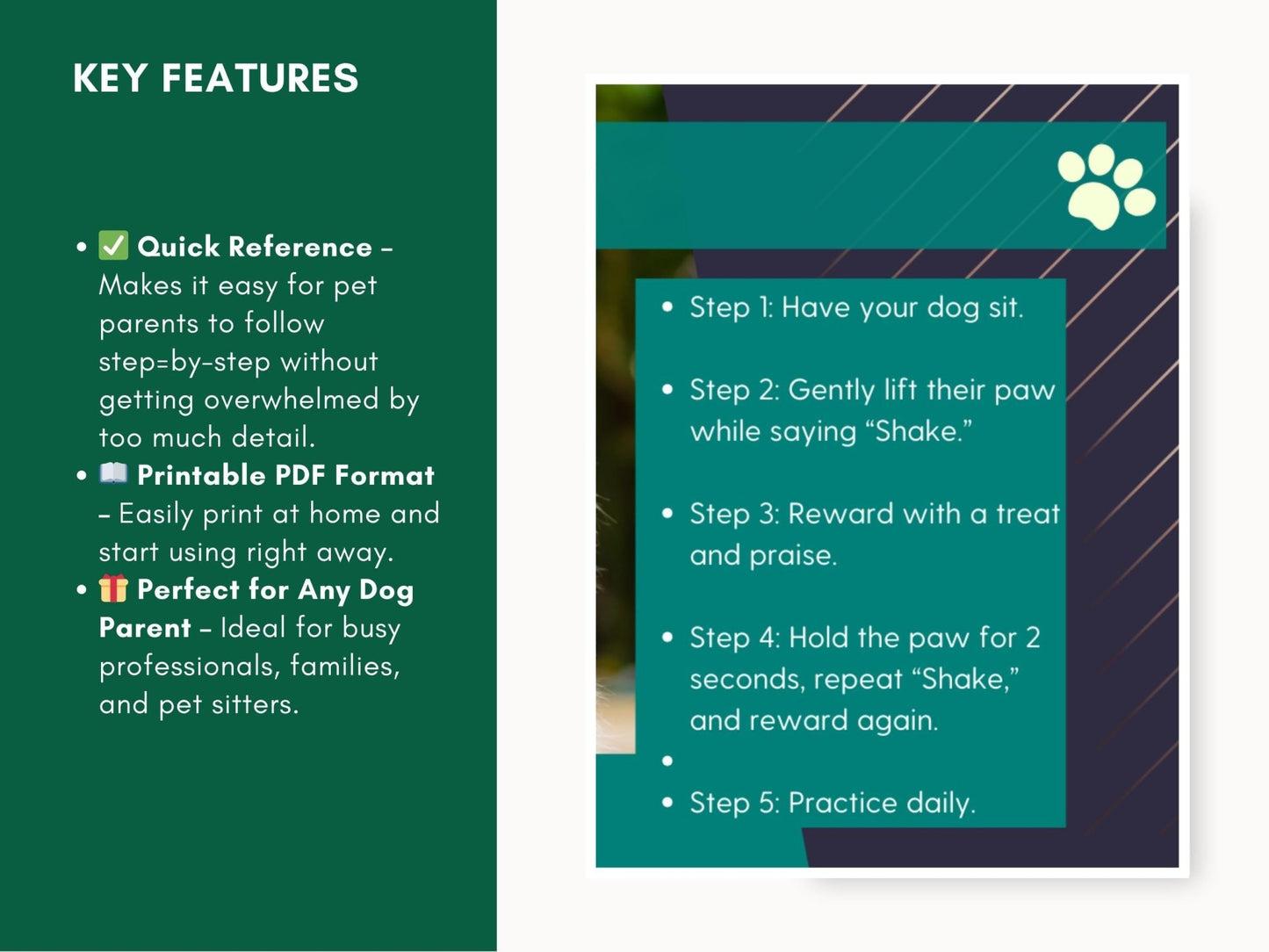 Comprehensive Step - by - Step Dog Training Guide: 10 Essential Commands PDF for Obedient Canines - Drake Dog Cancer Foundation