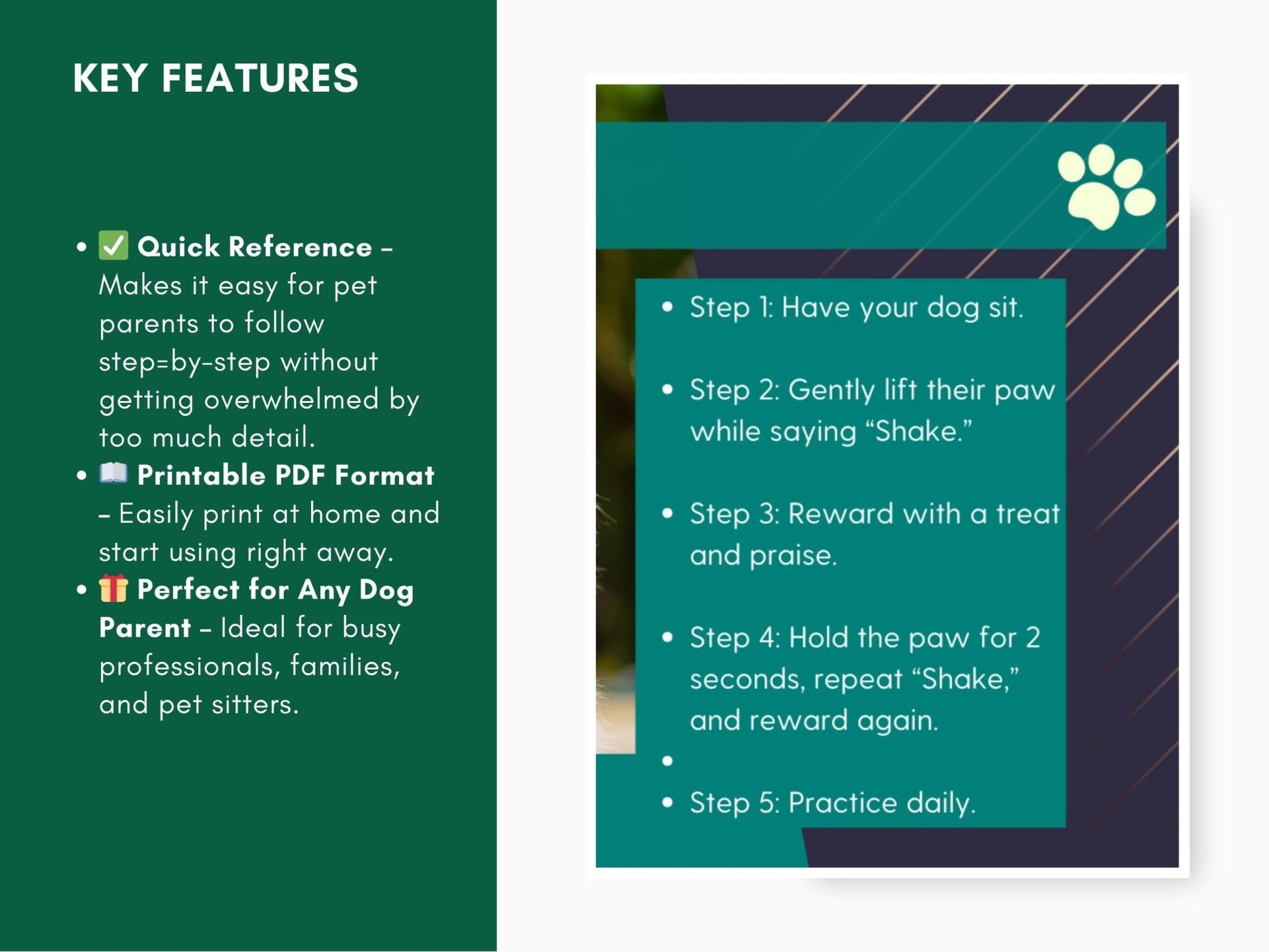 Comprehensive Step - by - Step Dog Training Guide: 10 Essential Commands PDF for Obedient Canines - Drake Dog Cancer Foundation