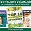 Comprehensive Step - by - Step Dog Training Guide: 10 Essential Commands PDF for Obedient Canines - Drake Dog Cancer Foundation