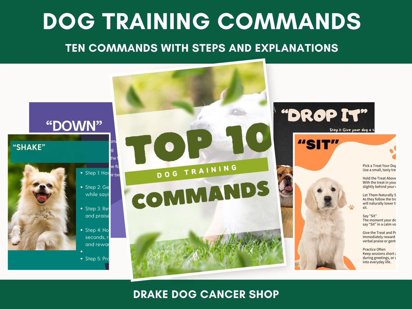 Comprehensive Step - by - Step Dog Training Guide: 10 Essential Commands PDF for Obedient Canines - Drake Dog Cancer Foundation