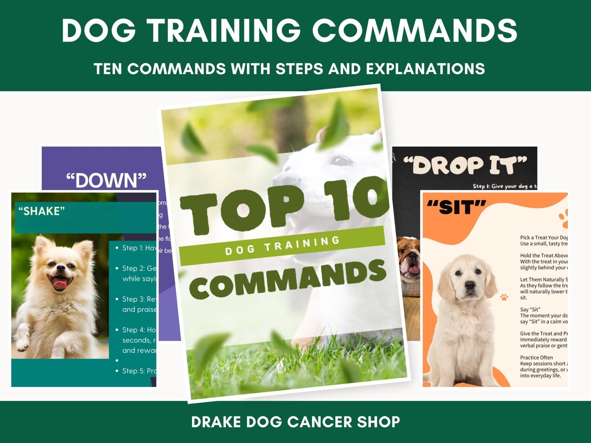 Comprehensive Step - by - Step Dog Training Guide: 10 Essential Commands PDF for Obedient Canines - Drake Dog Cancer Foundation