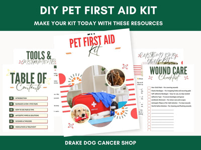 DIY Pet First Aid Kit Guide: Customizable Emergency Essentials for Dogs & Cats on the Go - Drake Dog Cancer Foundation