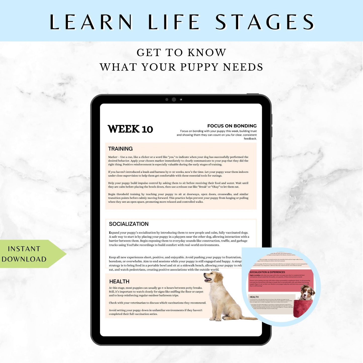 Puppy Training and Care Information and Templates for New Pet Parents - Drake Dog Cancer Foundation