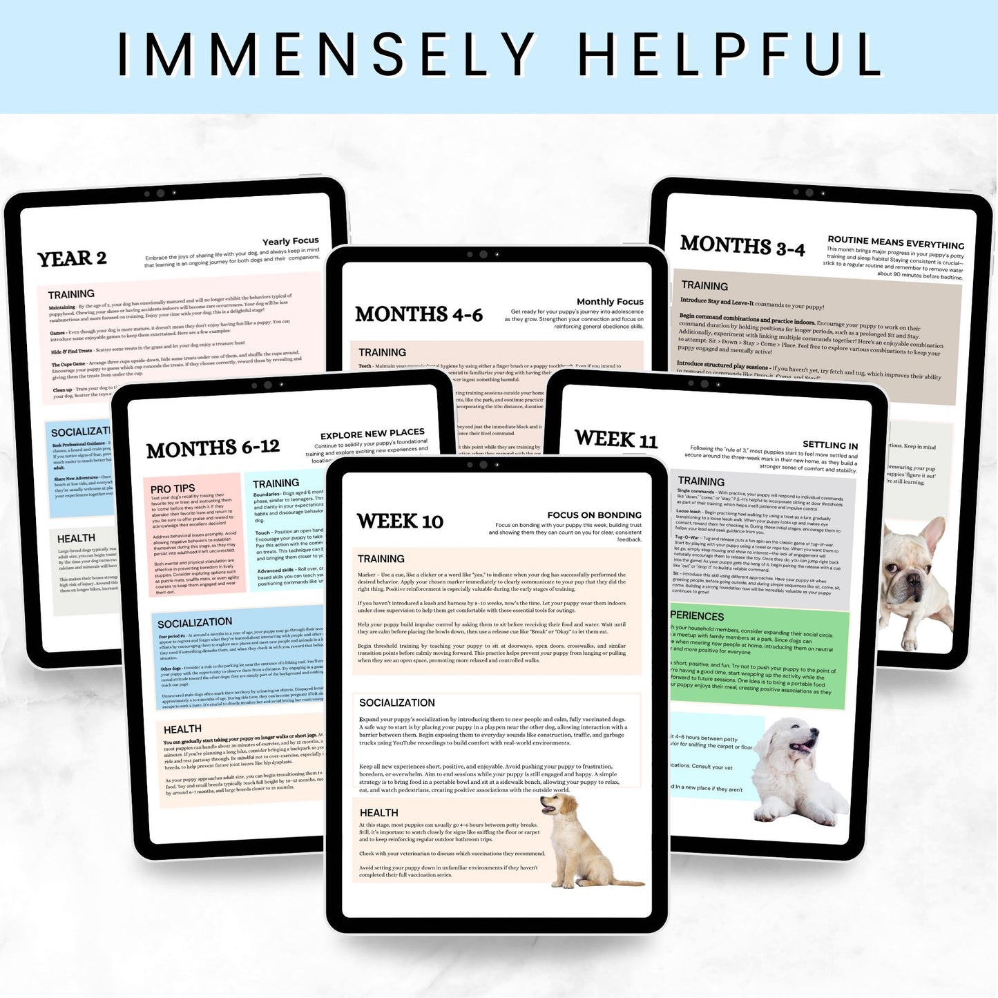 Puppy Training and Care Information and Templates for New Pet Parents - Drake Dog Cancer Foundation