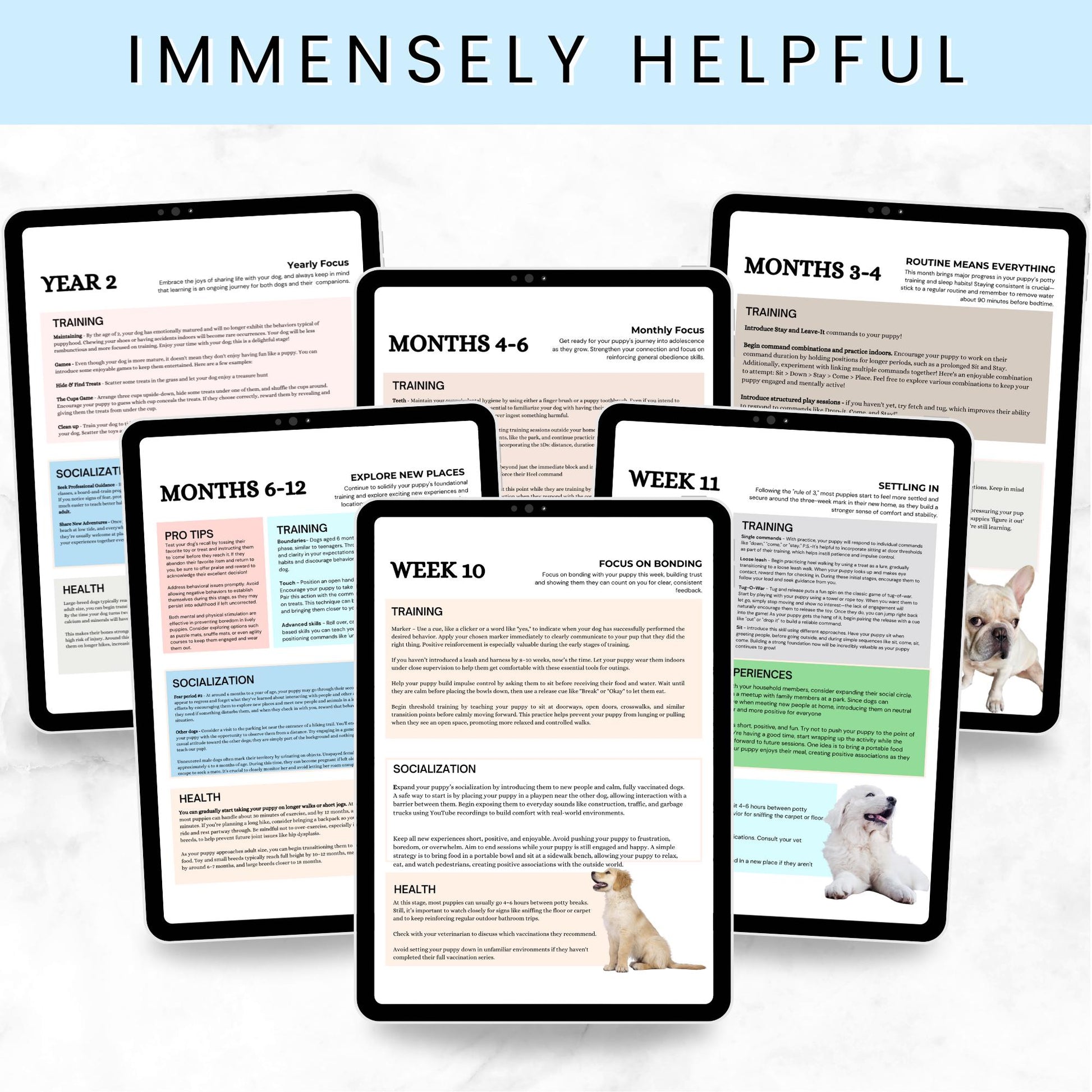 Puppy Training and Care Information and Templates for New Pet Parents - Drake Dog Cancer Foundation