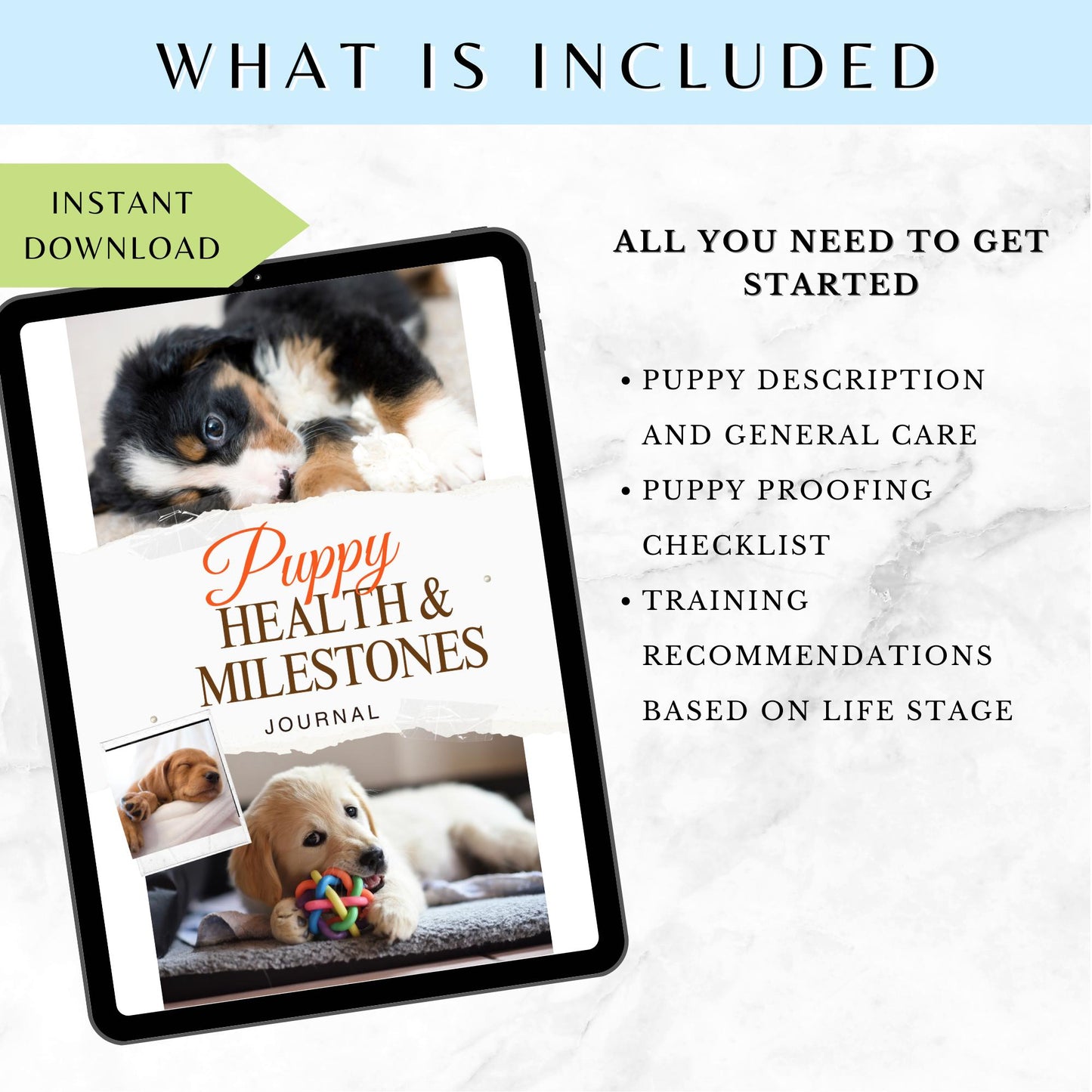 Puppy Training and Care Information and Templates for New Pet Parents - Drake Dog Cancer Foundation