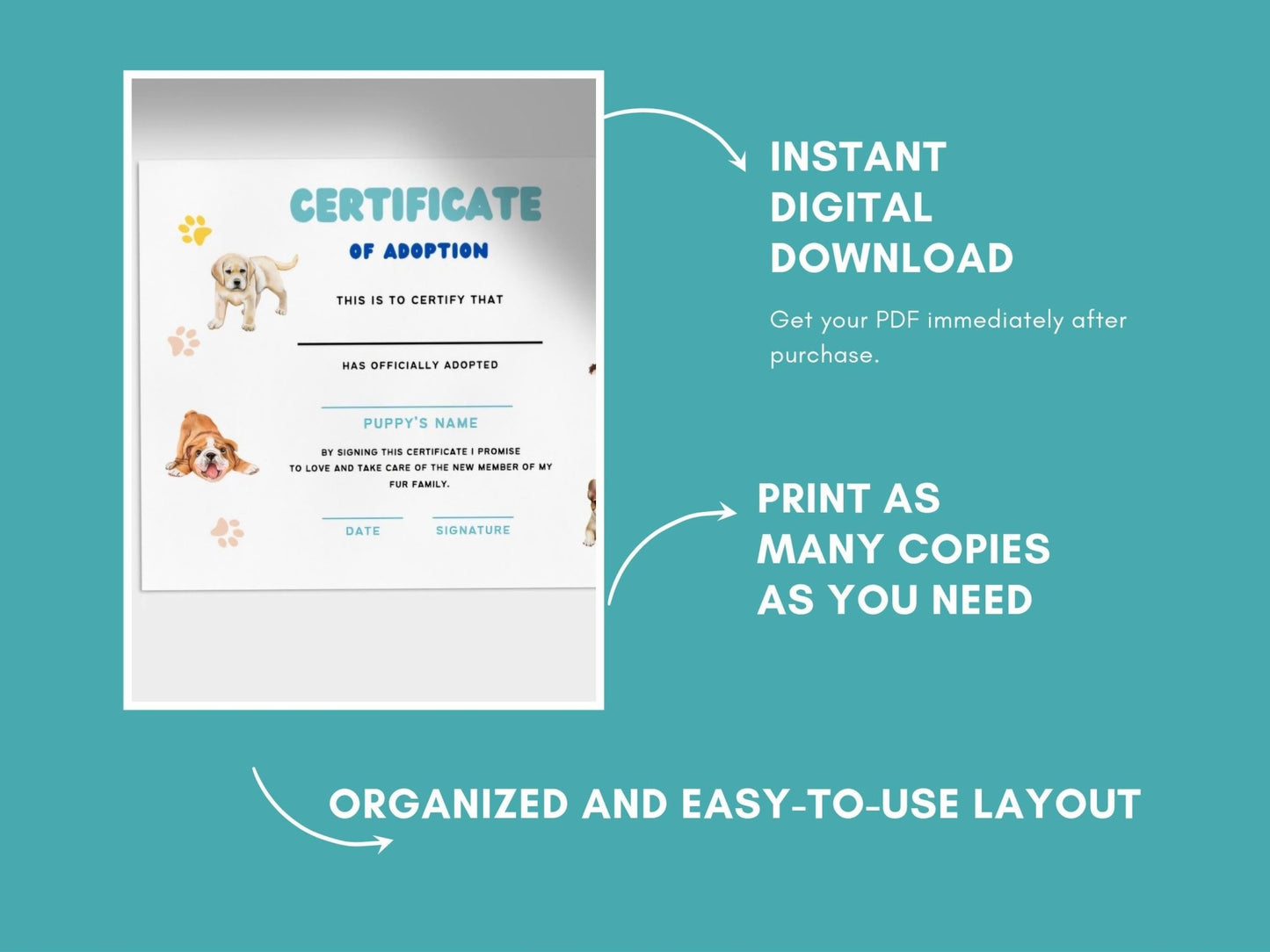 Personalized Dog Adoption Certificate: Printable PDF for New Pet Owners & Rescue Organizations - Drake Dog Cancer Foundation