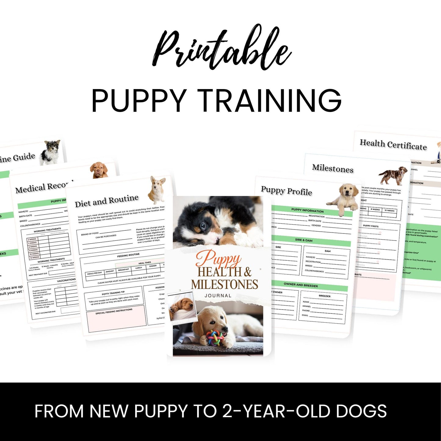 Puppy Training and Care Information and Templates for New Pet Parents - Drake Dog Cancer Foundation