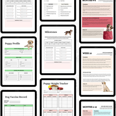 Puppy Training and Care Information and Templates for New Pet Parents - Drake Dog Cancer Foundation