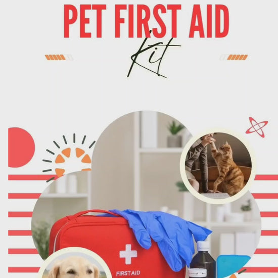 DIY Pet First Aid Kit Guide: Customizable Emergency Essentials for Dogs & Cats on the Go
