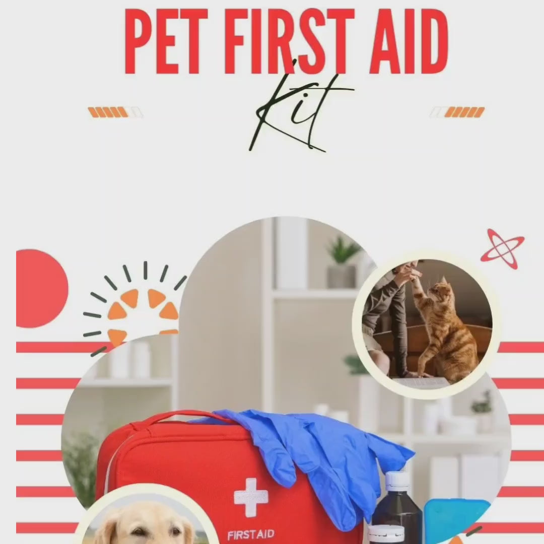 DIY Pet First Aid Kit Guide: Customizable Emergency Essentials for Dogs & Cats on the Go