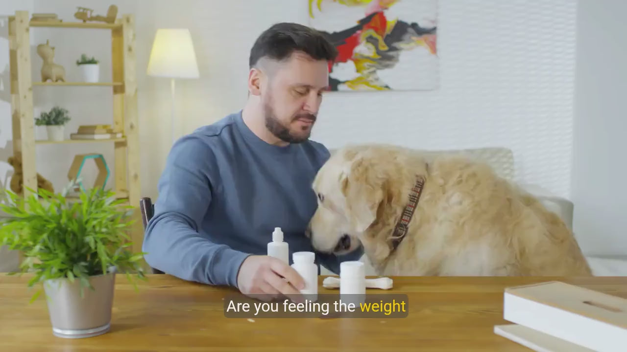 Dog Cancer Journal: Pet Wellness Tracker (Printable PDF)