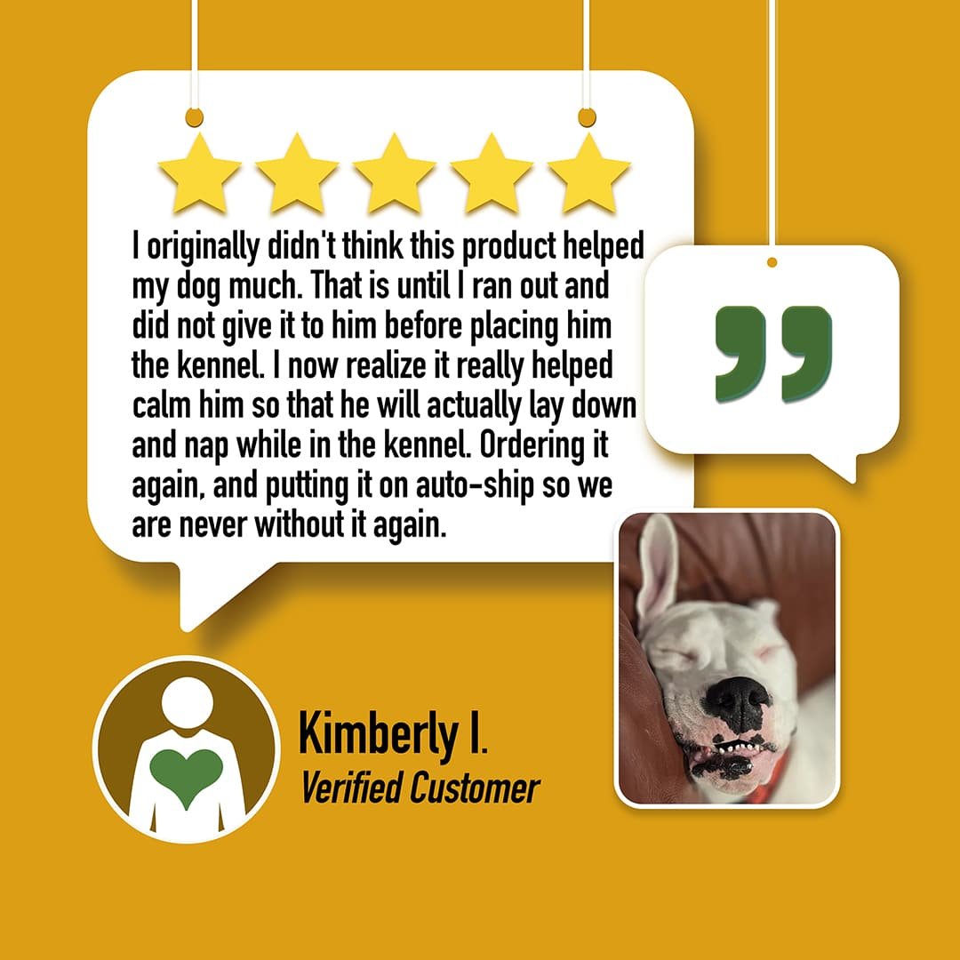 CALM Tincture for Anxious Dogs - Drake Dog Cancer Foundation