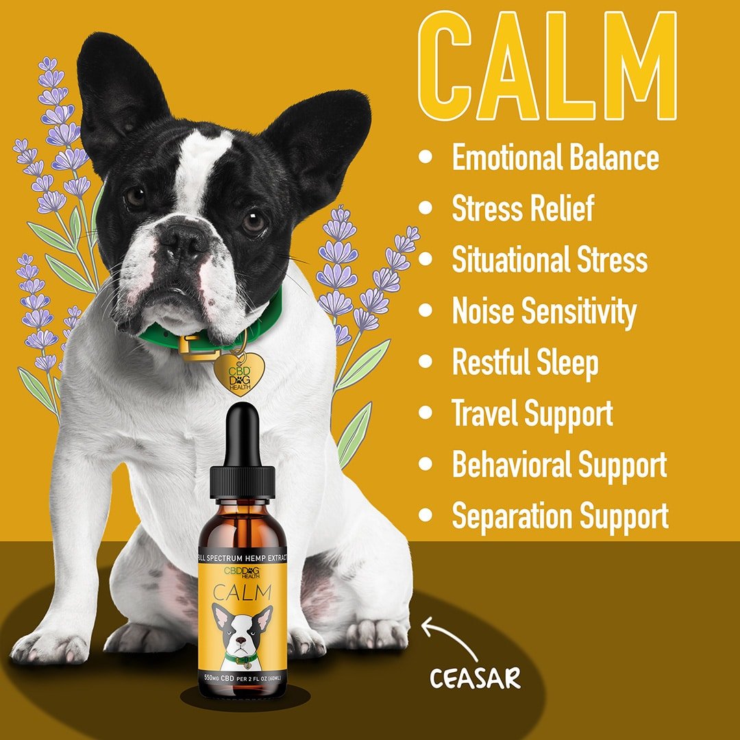CALM Tincture for Anxious Dogs - Drake Dog Cancer Foundation